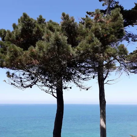 Apartman Plat Gousset