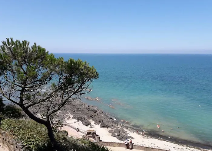 Plat Gousset Apartament